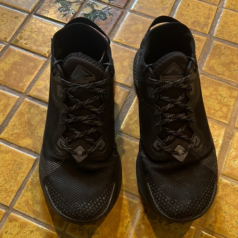 Pegasus Trail 2 Goretex